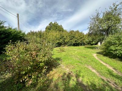 Annonce Vente Terrain Souppes-sur-loing 77