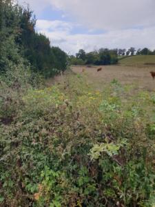 Acheter Terrain Aluze Saone et loire