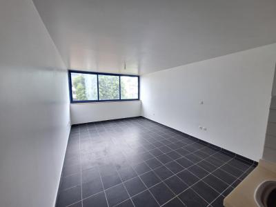 Acheter Appartement 28 m2 Tampon