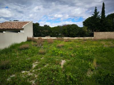 For sale Neffies Herault (34320) photo 0