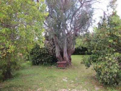 For sale Teyran 7 rooms 155 m2 Herault (34820) photo 1