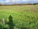 For sale Land Saint-christoly-de-blaye  700 m2