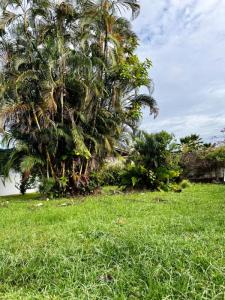 For sale Cayenne 4 rooms 100 m2 Guyane (97300) photo 2