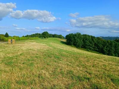 For sale Bidache 32767 m2 Pyrenees atlantiques (64520) photo 2