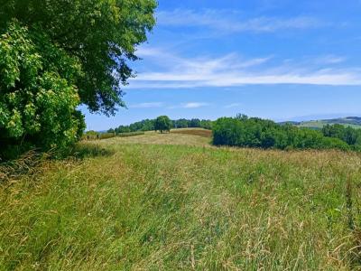 For sale Bidache 32767 m2 Pyrenees atlantiques (64520) photo 3