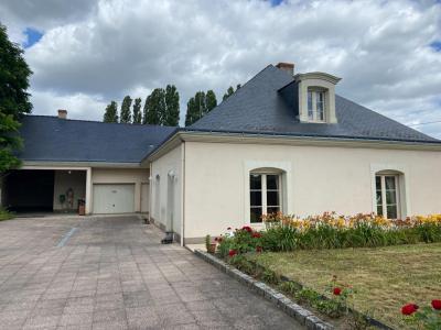 Acheter Maison 229 m2 Chateauneuf-sur-sarthe