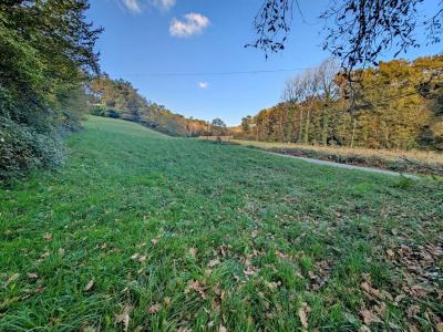 Annonce Vente Terrain Sarlat-la-caneda 24