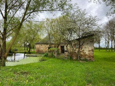 Acheter Maison Thorigne-d'anjou Maine et loire