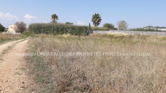 For sale Pezenas 9343 m2 Herault (34120) photo 2