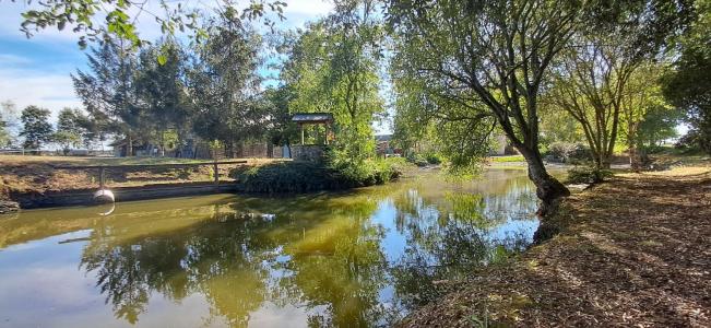 For sale Louvigne 6 rooms 133 m2 Mayenne (53210) photo 3