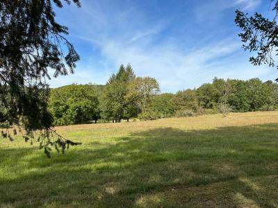 Acheter Terrain 2696 m2 Saint-jean-de-cole