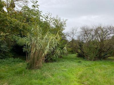 Acheter Maison Bouere Mayenne