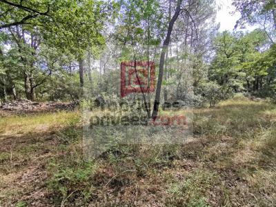 For sale Trans-en-provence 7500 m2 Var (83720) photo 1