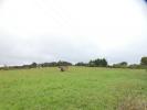 For sale Land Rouffignac-saint-cernin-de-reilh  10230 m2