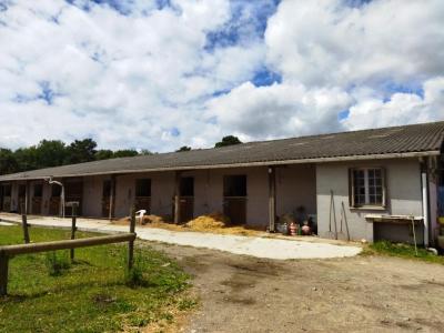 For sale Malguenac 1 m2 Morbihan (56300) photo 0