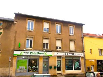 For sale Audun-le-roman 284 m2 Meurthe et moselle (54560) photo 0