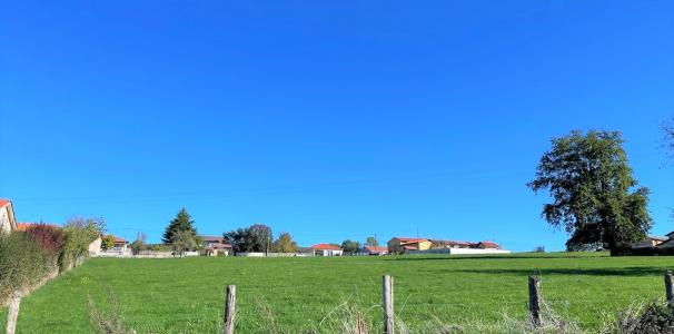 Acheter Terrain Panissieres Loire