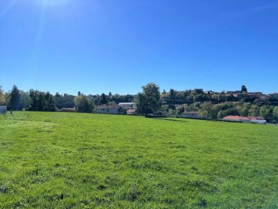 Acheter Terrain Panissieres 382000 euros