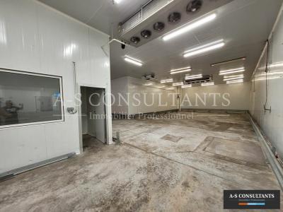 Louer Commerce 1160 m2 Saint-symphorien-d'ozon