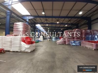 Acheter Commerce 1600 m2 Viriville