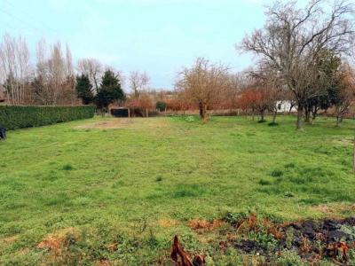 For sale Berson 841 m2 Gironde (33390) photo 0