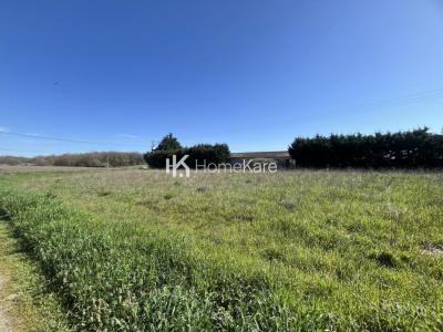 For sale Muret 800 m2 Haute garonne (31600) photo 0