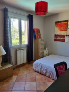 Annonce Location 3 pices Appartement Marseille-6eme-arrondissement 13