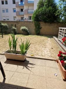 Louer Appartement Schiltigheim Bas rhin