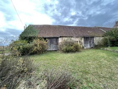 Annonce Vente 9 pices Maison Selle-sur-le-bied 45