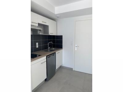 Annonce Location Appartement Toulouse 31