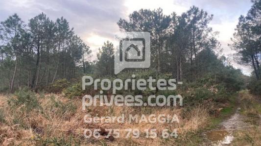 For sale Saint-martin 7803 m2 Morbihan (56200) photo 2