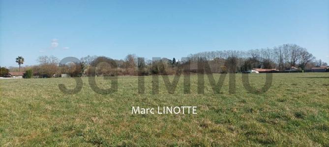 For sale Tartas Landes (40400) photo 0