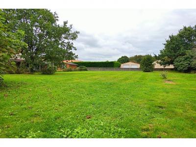 For sale Arthon-en-retz 1091 m2 Loire atlantique (44320) photo 3