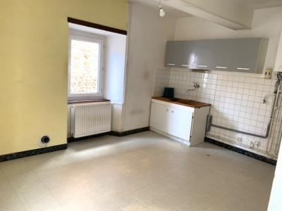 Annonce Vente 3 pices Maison Coutouvre 42