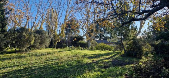 Annonce Vente Terrain Maussane-les-alpilles 13