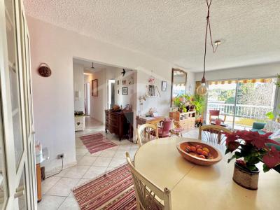 Acheter Appartement Antibes Alpes Maritimes