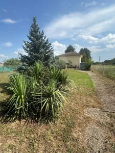 For sale Beaurepaire Beaurepaire 6 rooms 190 m2 Isere (38270) photo 0