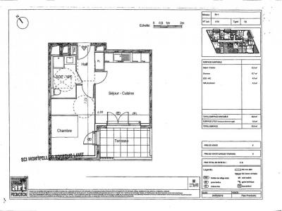 Annonce Location 2 pices Appartement Montpellier 34