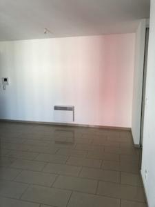 Louer Appartement 55 m2 Lucciana