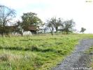 For sale Land Romont 