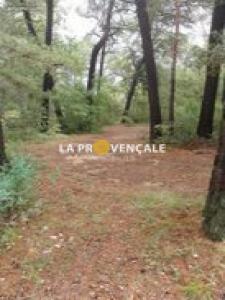 Annonce Vente Terrain Nans-les-pins 83