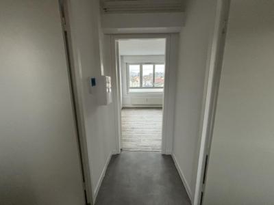 Annonce Location 2 pices Appartement Masevaux 68