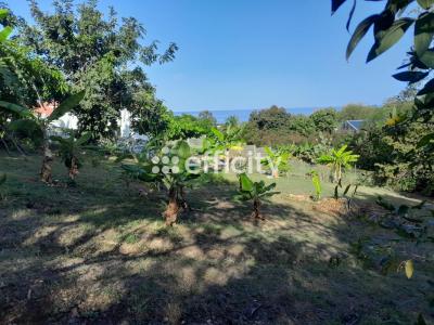 For sale Vieux-habitants 1000 m2 Guadeloupe (97119) photo 0