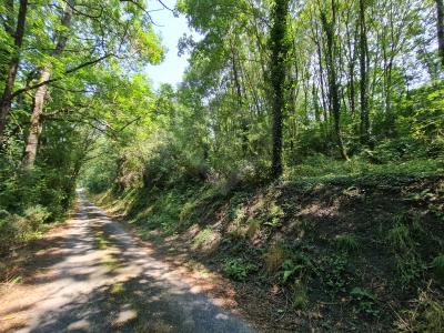 For sale Roquecourbe Tarn (81210) photo 0