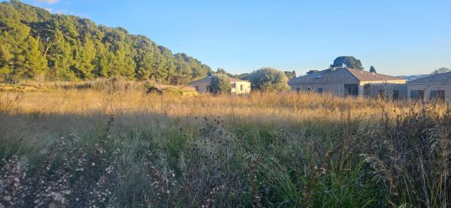 For sale Ollioules 1088 m2 Var (83190) photo 0