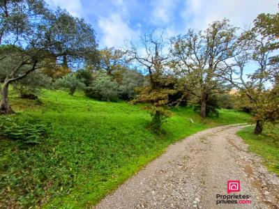 For sale Roquebrune-sur-argens 5 rooms 130 m2 Var (83520) photo 3