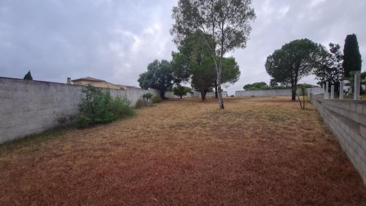 For sale Magalas 1305 m2 Herault (34480) photo 0