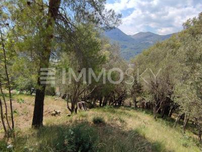 Acheter Terrain Saint-martin-du-var 212000 euros