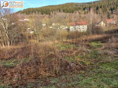 For sale Ventron 1100 m2 Vosges (88310) photo 1