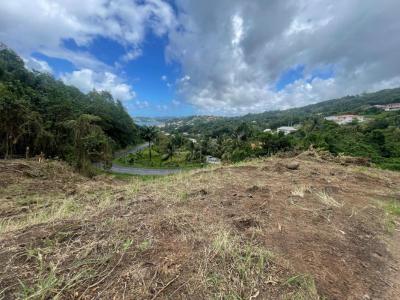 For sale Trinite 1001 m2 Martinique (97220) photo 0